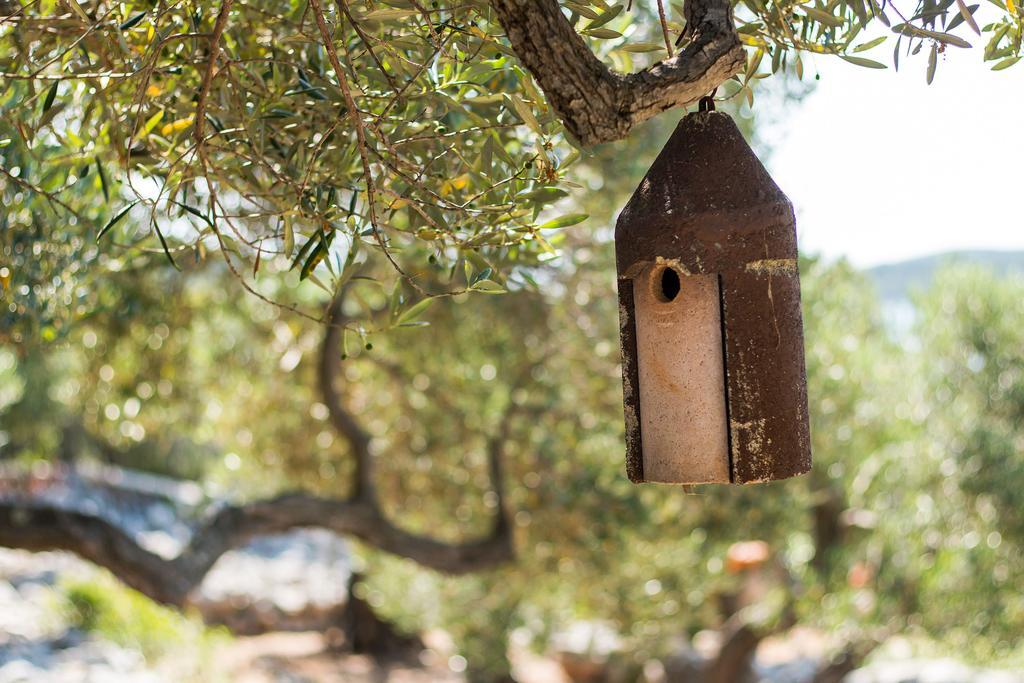 Holiday Home Nikol Veli Lošinj Buitenkant foto